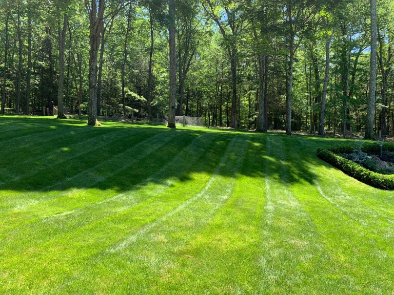 Mowed lawn in Litchfield County, CT.